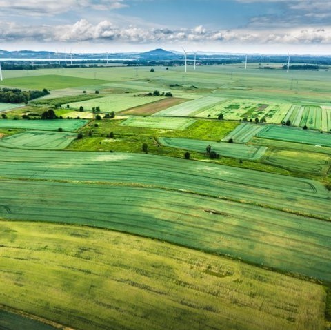 Observación en grandes superficies